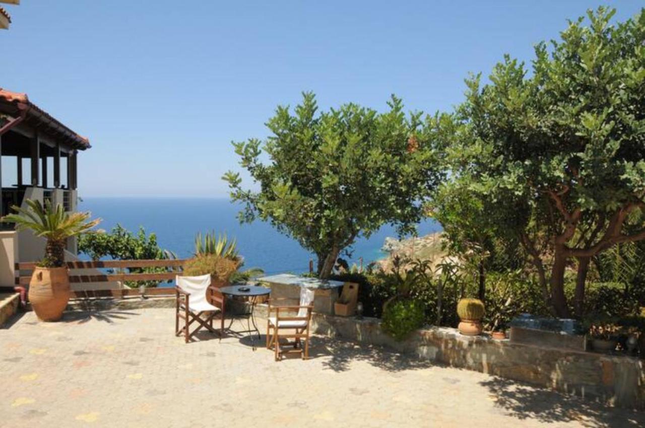 Vitamin Sea Luxury Villas Агия-Пелагия  Экстерьер фото